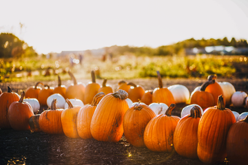 These Ten Things Belong on Your Fall Bucket List